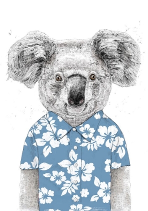 Picture of SUMMER KOALA (BLUE)