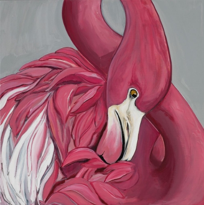 Picture of FLAMINGO