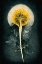 Picture of DANDELION