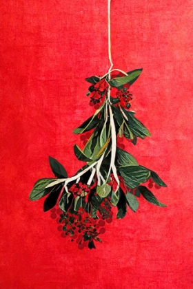 Picture of PAINTED MISTLETOE