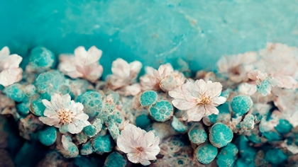 Picture of TURQUOISE BUDS