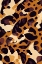 Picture of LEO PATTERN