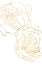 Picture of SALLYS PEONIES IN GOLD
