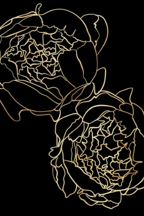Picture of SALLYS PEONIES IN GOLD AND BLACK