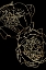 Picture of SALLYS PEONIES IN GOLD AND BLACK