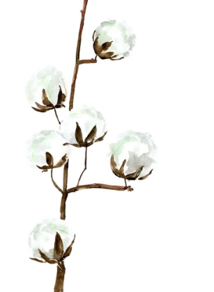 Picture of WATERCOLOR COTTON BRANCH I