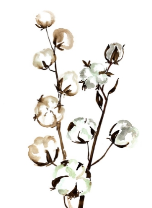 Picture of WATERCOLOR COTTON BRANCH II