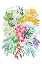 Picture of MEDICINAL HERBS