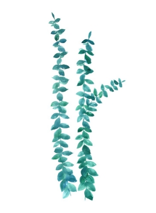 Picture of WATERCOLOR EUCALYPTUS BRANCHES IN TEAL