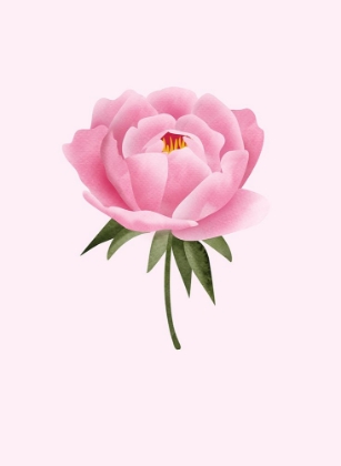 Picture of PEONY STATEMENT