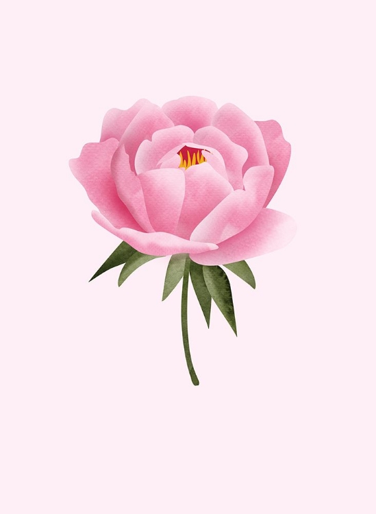 Picture of PEONY STATEMENT