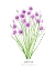 Picture of CHIVES I