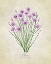 Picture of CHIVES VINTAGE