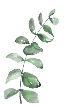 Picture of WATERCOLOR GREENERY BRANCH