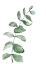 Picture of WATERCOLOR GREENERY BRANCH
