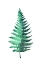 Picture of WATERCOLOR FERN