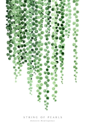 Picture of WATERCOLOR STRING OF PEARLS
