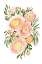 Picture of SAVANNA BOUQUET OF CORAL RANUNCULUS