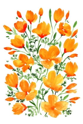 Picture of WATERCOLOR CALIFORNIA POPPIES