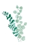 Picture of TWO EUCALYPTUS BRANCHES
