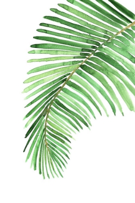 Picture of PALM LEAF IN LOOSE WATERCOLOR