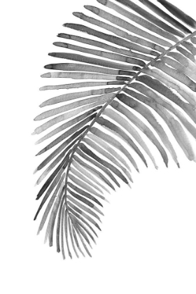Picture of PALM LEAF IN LOOSE WATERCOLOR BW