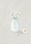 Picture of DAISY FLOWERS