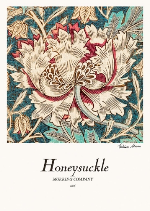 Picture of HONEYSUCKLE