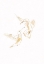 Picture of GOLD HUMMINGBIRD LINE ART SILHOUETTES 4