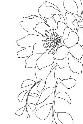 Picture of LOLI PEONY LINE ART