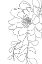 Picture of LOLI PEONY LINE ART