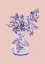 Picture of APPLE BLOSSOM - CORAL