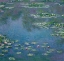 Picture of WATER LILIES