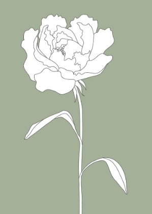 Picture of ROSE IN GREEN