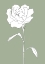 Picture of ROSE IN GREEN