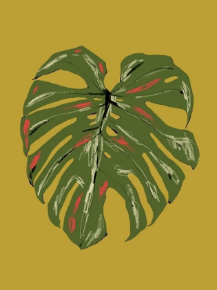 Picture of MONSTERA LEAF GREEN