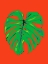 Picture of MONSTERA LEAF RED