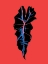 Picture of ALOCASIA POLLY RED