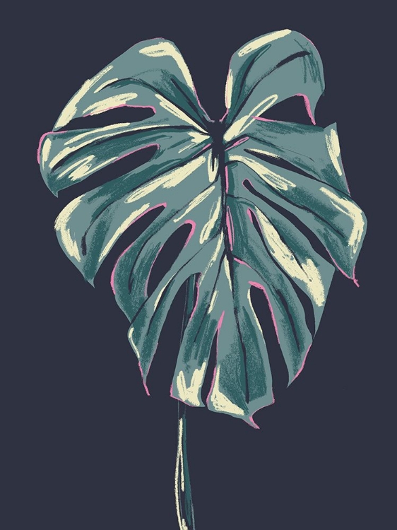 Picture of MONSTERA DELICIOSA DARK