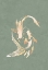 Picture of SAGE GREEN GOLD KOI FISH 1