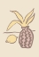 Picture of LIMON