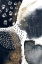 Picture of ABSTRACT BLACK AND GOLD-1