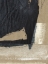 Picture of TEXTURE