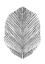 Picture of FEATHER