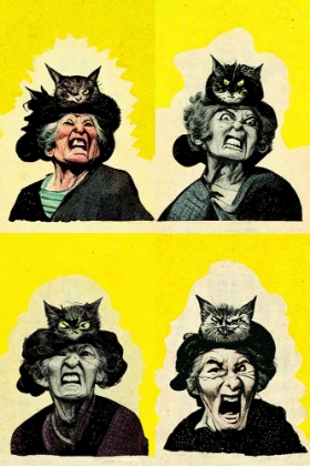 Picture of ANGRY CAT LADY