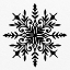 Picture of SNOWFLAKE 1