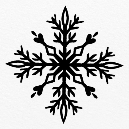 Picture of SNOWFLAKE 2