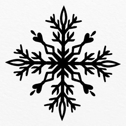 Picture of SNOWFLAKE 2