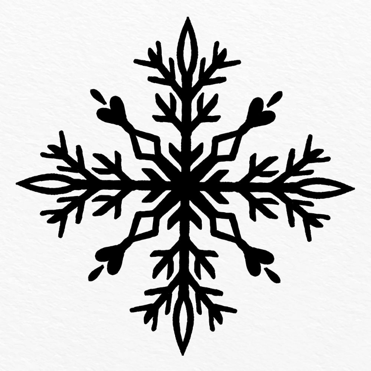 Picture of SNOWFLAKE 2