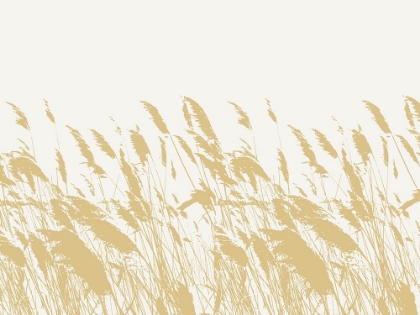 Picture of NATURE INSPIRED WILD GRASSES